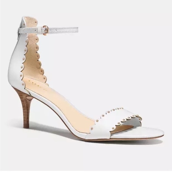 COACH Monica Soft Shine Calf Chalk Kitten Heel Scallop Leather Sz 8.5 NEW - Picture 1 of 12